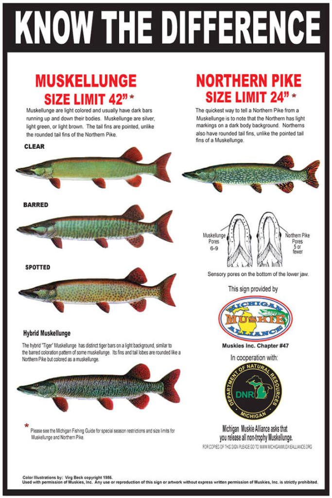 Know the Difference Michigan Muskie Alliance